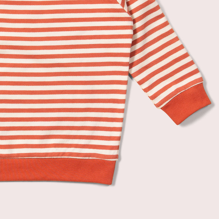 Walnut Striped Marl Raglan Sweatshirt