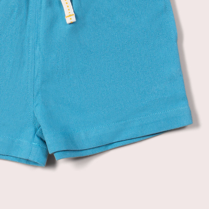 Blue Moon By The Sea Twill Shorts