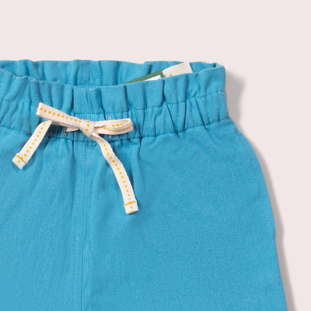 Blue Moon By The Sea Twill Shorts