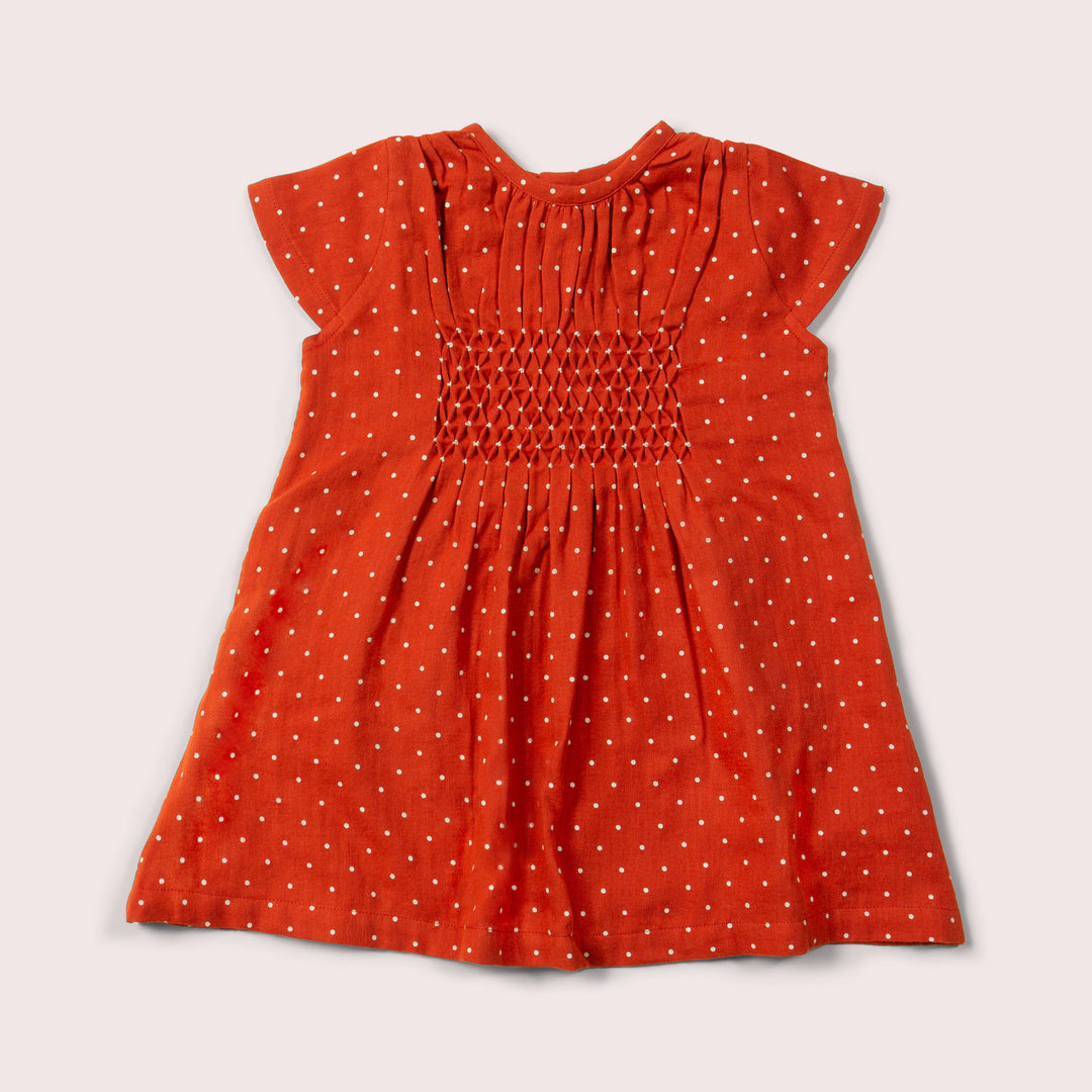 Walnut Polkadot Smocked Dress