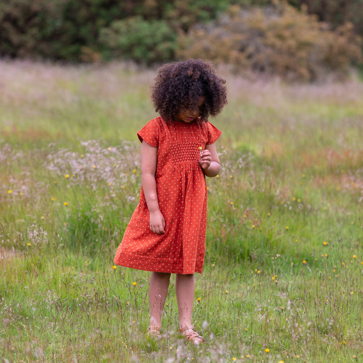 Walnut Polkadot Smocked Dress