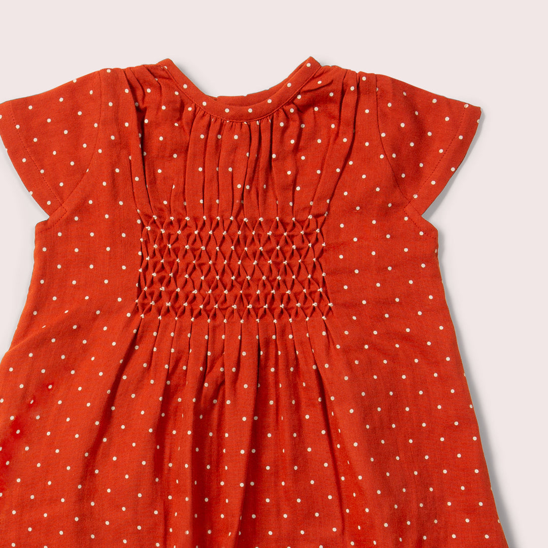 Walnut Polkadot Smocked Dress