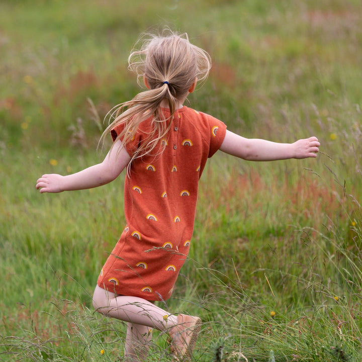 Walnut Rainbow Short Sleeve Knitted Tunic Dress