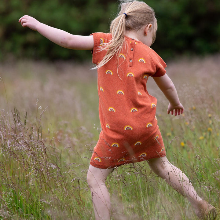 Walnut Rainbow Short Sleeve Knitted Tunic Dress