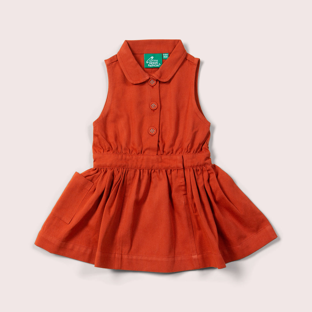 Walnut Pinafore Button Dress