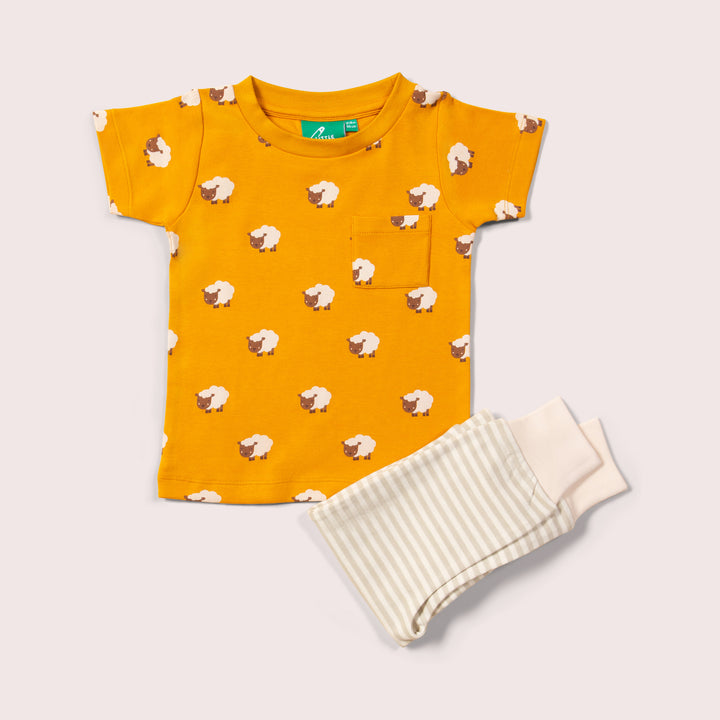 Counting Sheep Organic T-Shirt & Jogger Playset