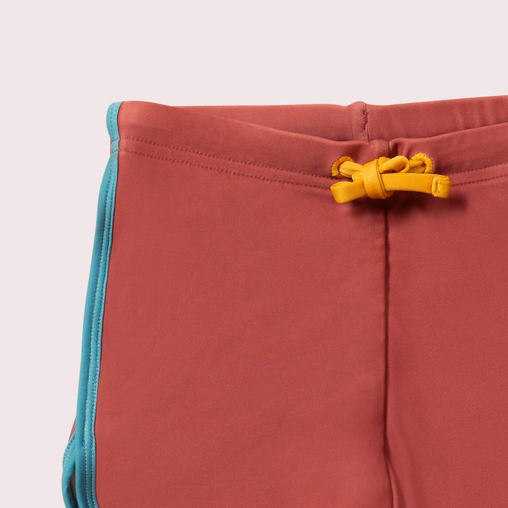 Walnut Recycled Swim Shorts