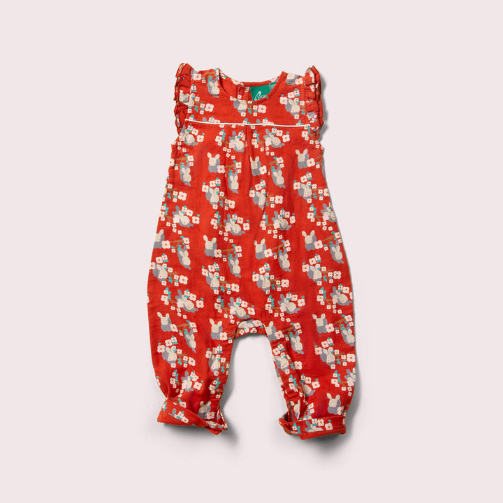 Little Rabbits Frill Summer Romper