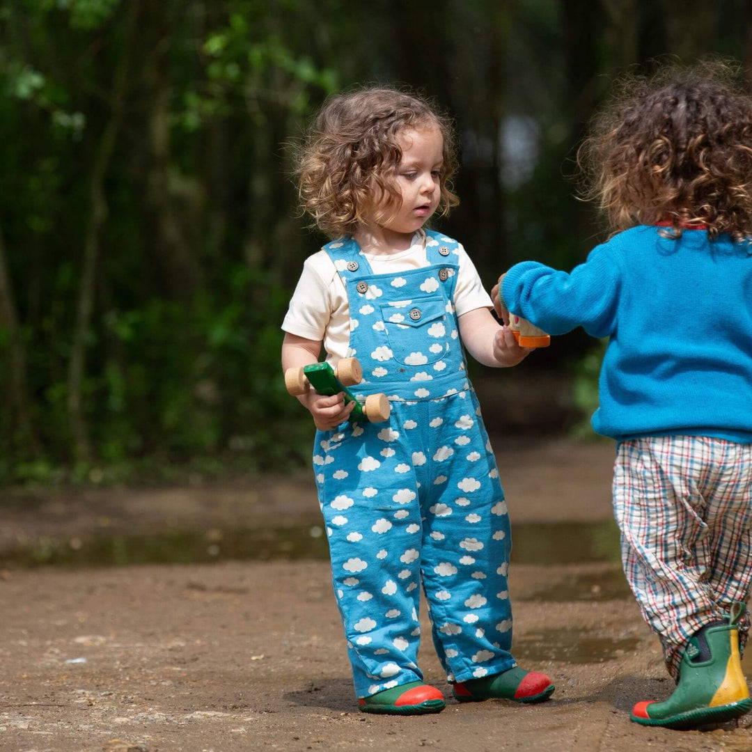 Blue Clouds Pocket Dungaree Shorts