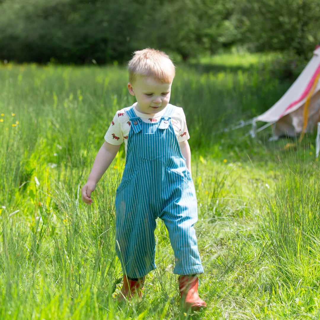 Horizon Blue Striped Roll Up Dungarees