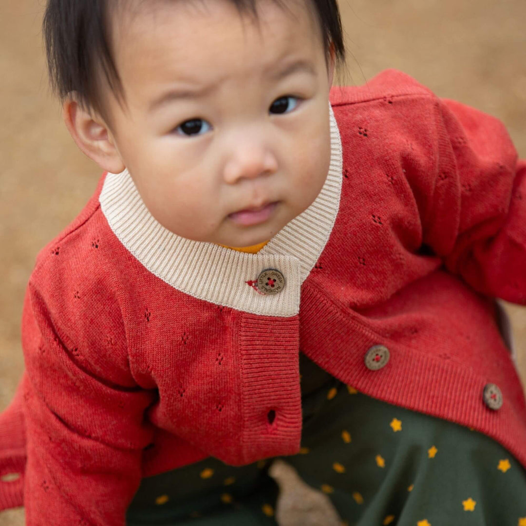 From One To Another Burnt Ochre Pointelle Knitted Cardigan