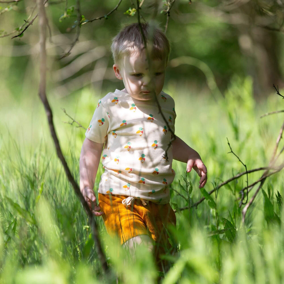 Little Ducks Short Sleeve T Shirt