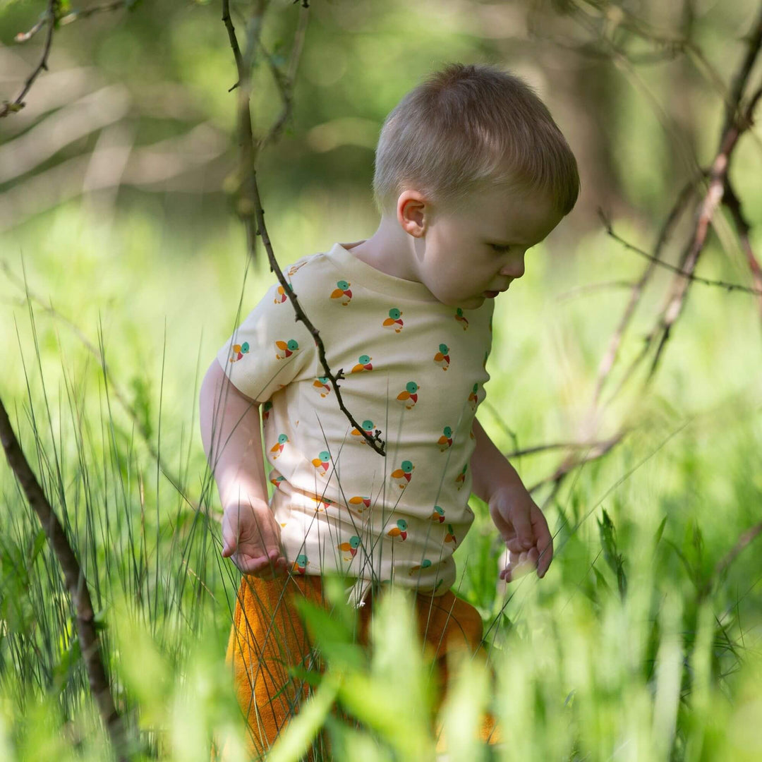 Little Ducks Short Sleeve T Shirt