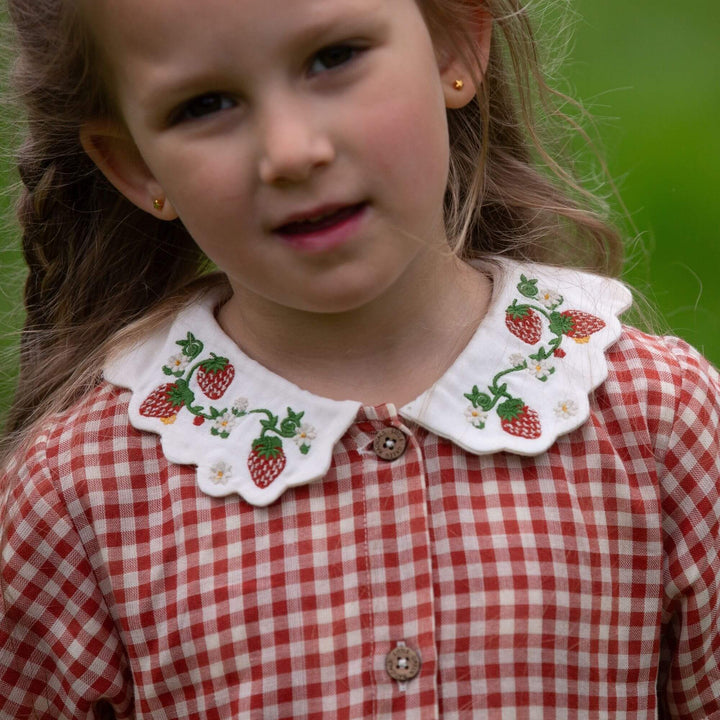 Little Red Check Button Through Short Sleeve Dress