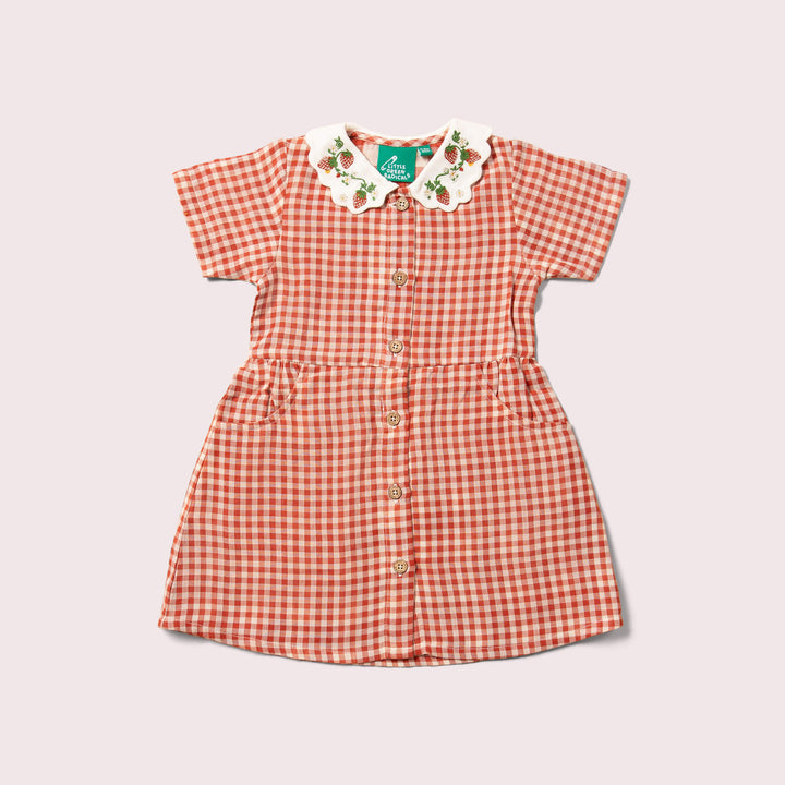 Little Red Check Button Through Short Sleeve Dress