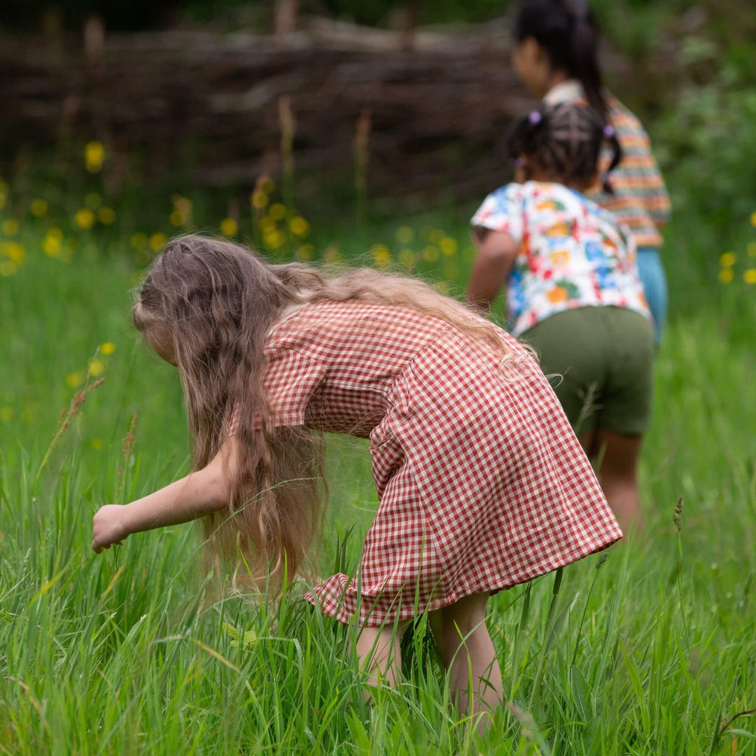 Little Red Check Button Through Short Sleeve Dress