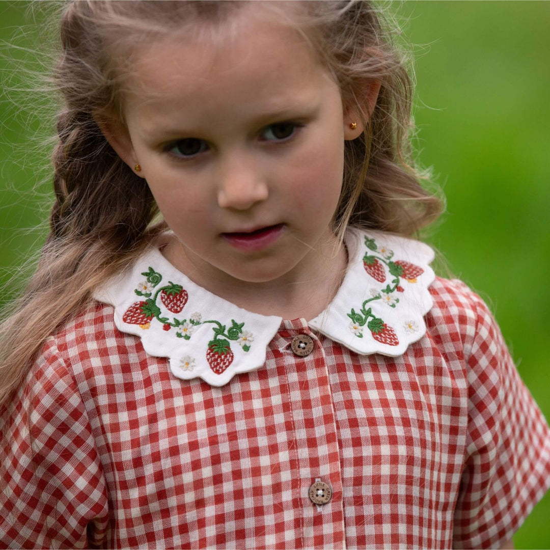 Little Red Check Button Through Short Sleeve Dress