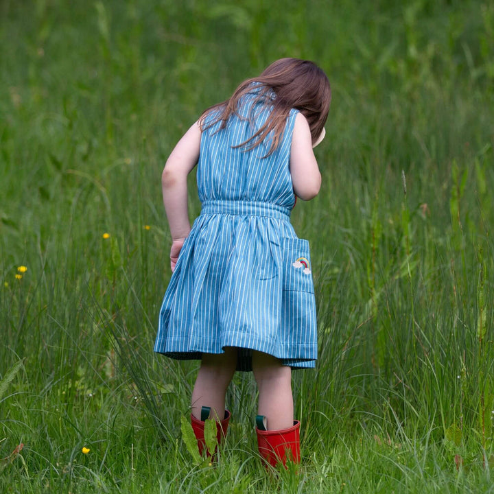 Horizon Blue Striped Pinafore Button Dress