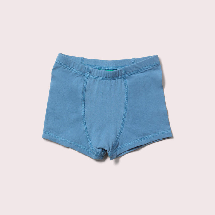 Blue Organic Underwear Shorts Set 3 Pack