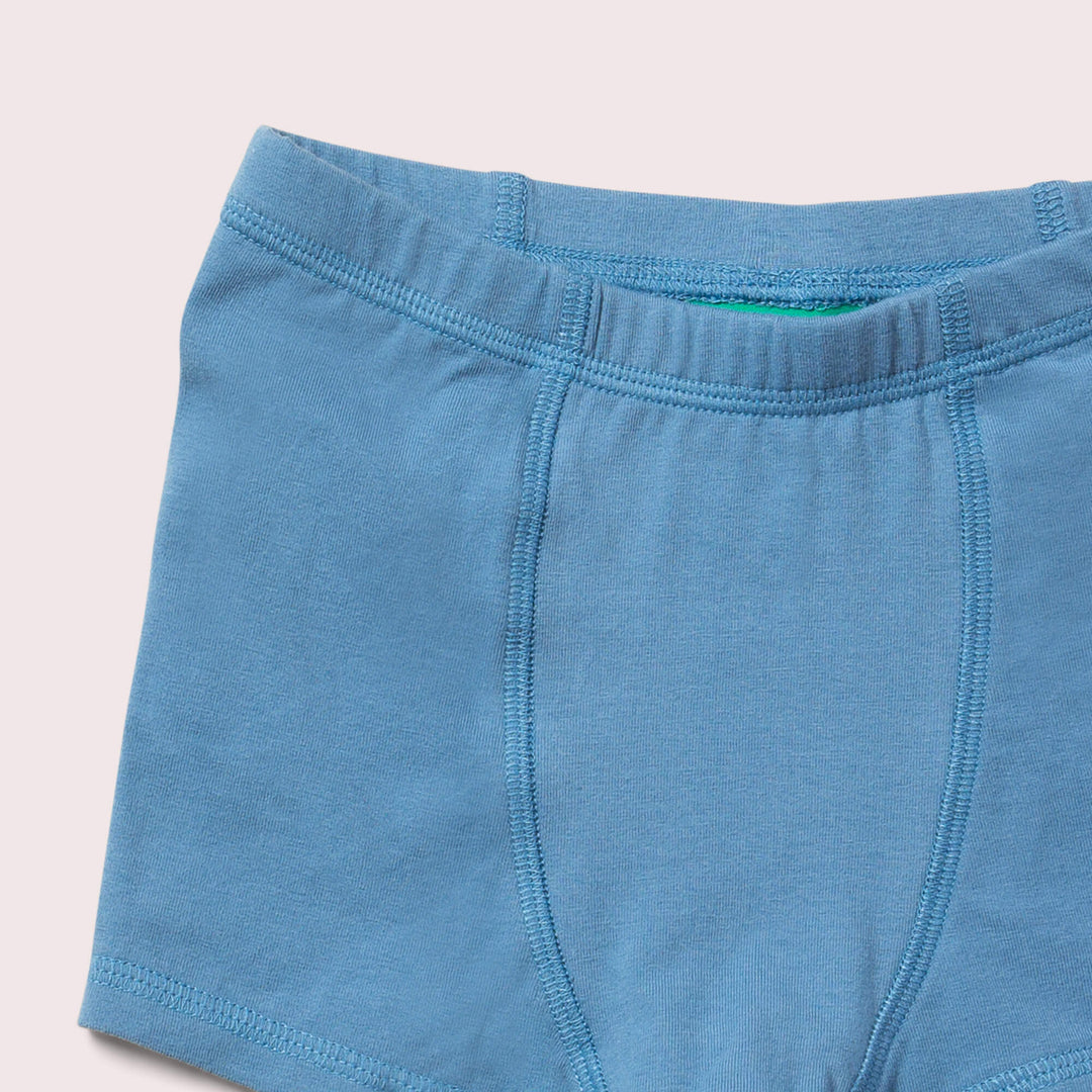 Blue Organic Underwear Shorts Set 3 Pack