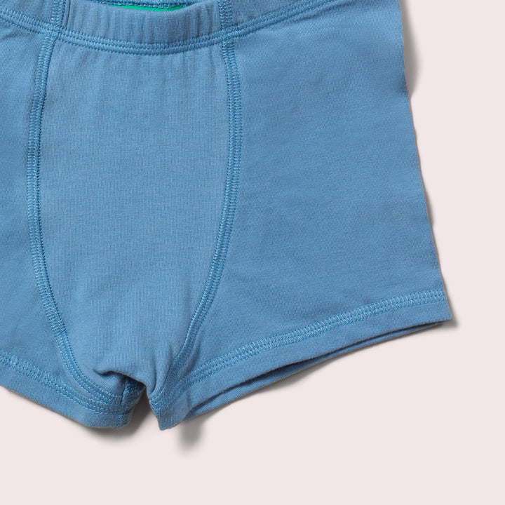 Blue Organic Underwear Shorts Set 3 Pack