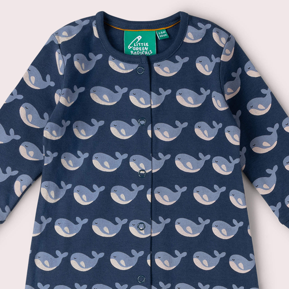 Singing Whales Organic Babygrow Blue / Newborn