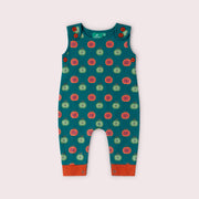 Apple Picking Everyday Dungarees Blue / 18-24m