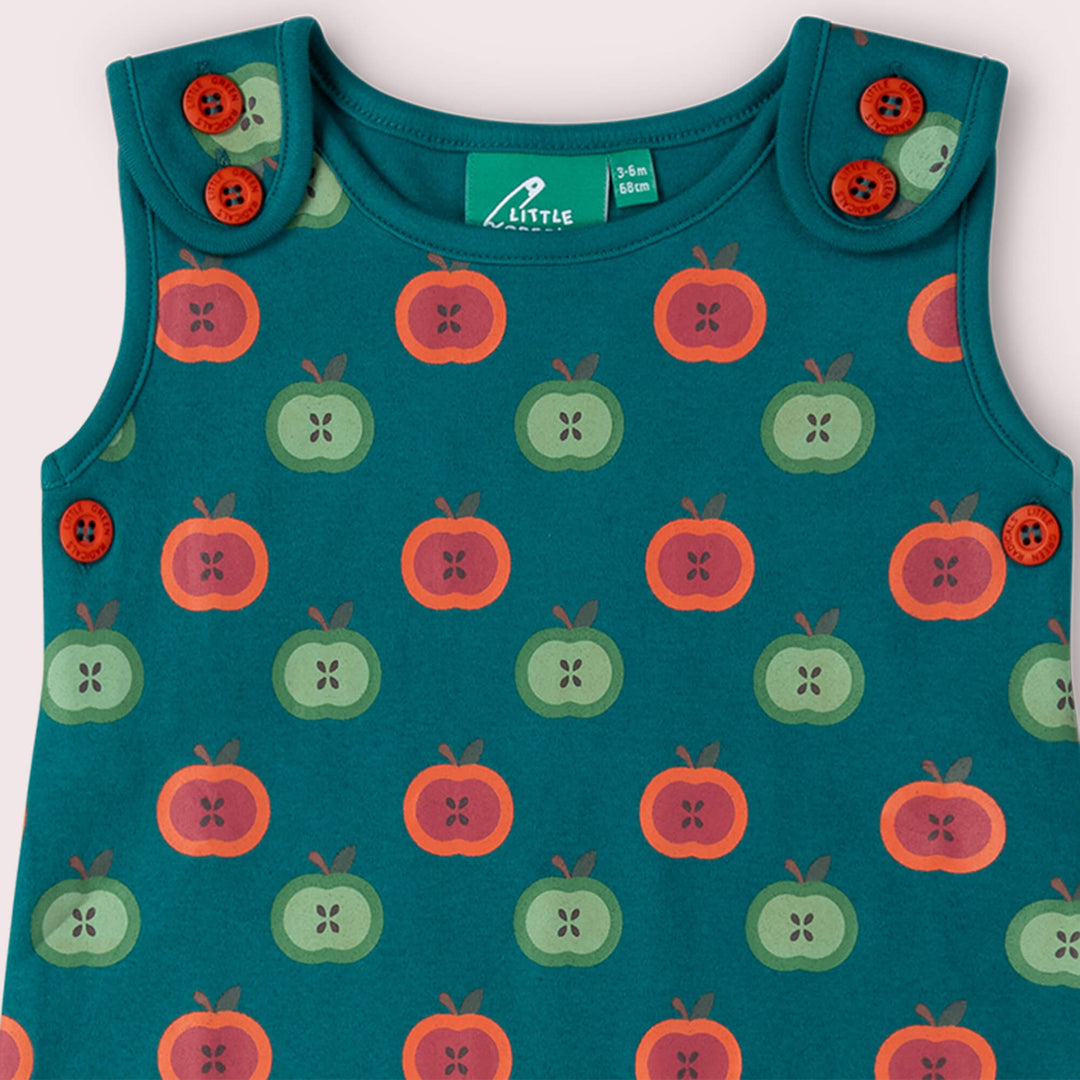 Apple Picking Everyday Dungarees Blue / 18-24m