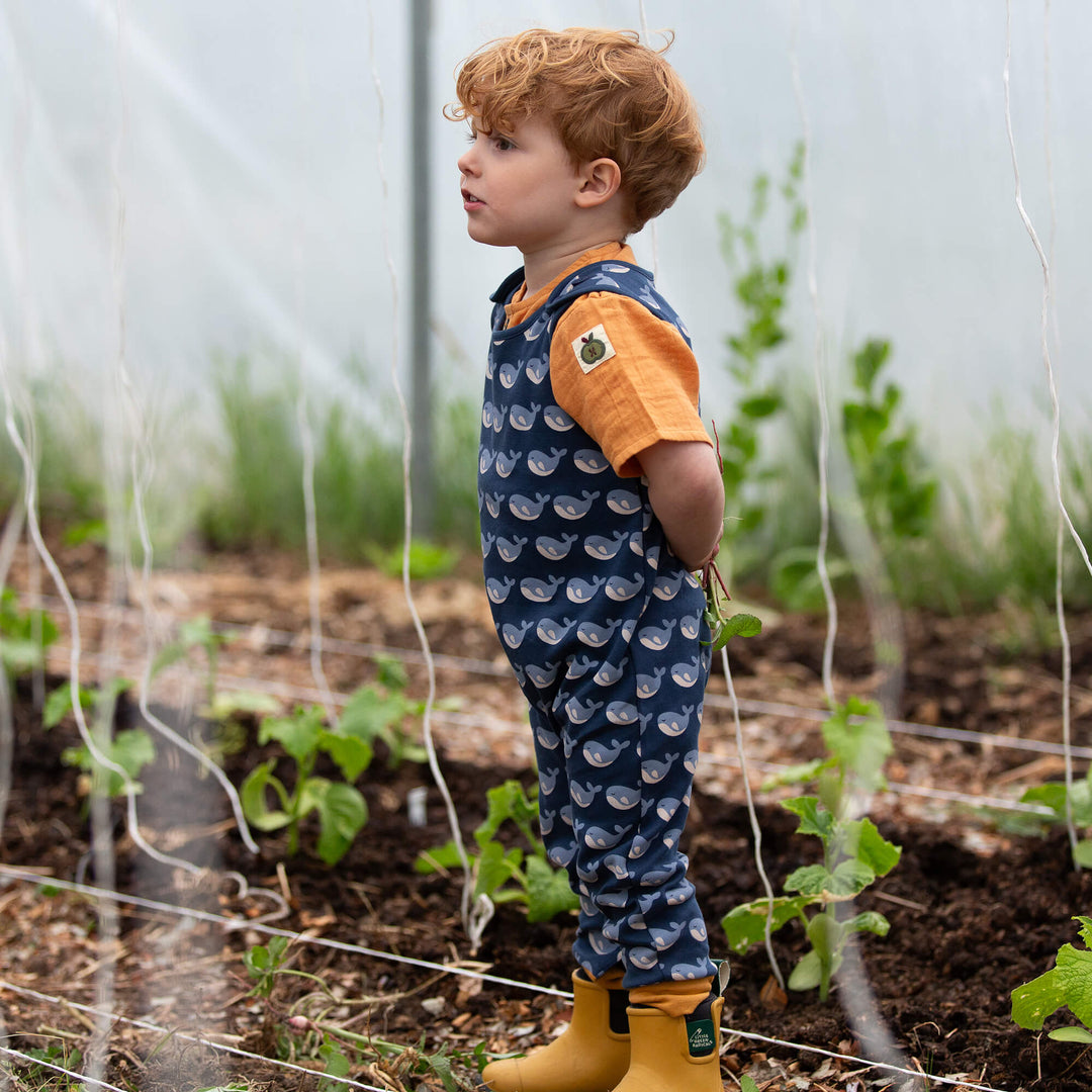 Singing Whales Everyday Dungarees Blue / 18-24m