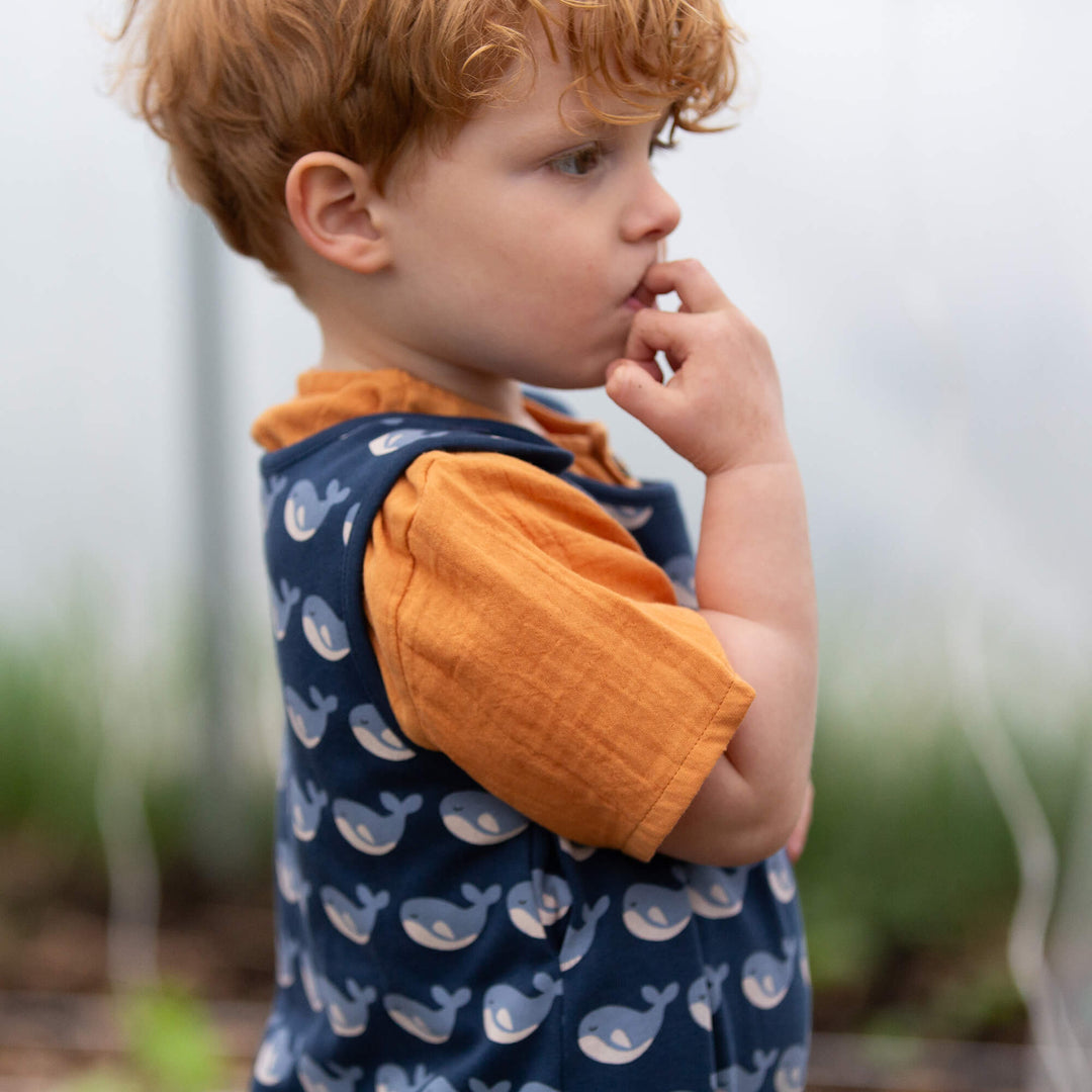 Singing Whales Everyday Dungarees Blue / 18-24m