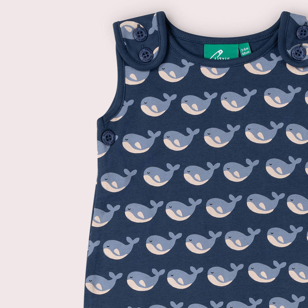 Singing Whales Everyday Dungarees Blue / 18-24m