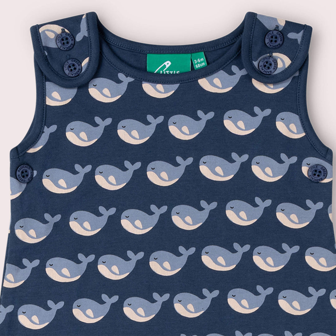 Singing Whales Everyday Dungarees Blue / 18-24m