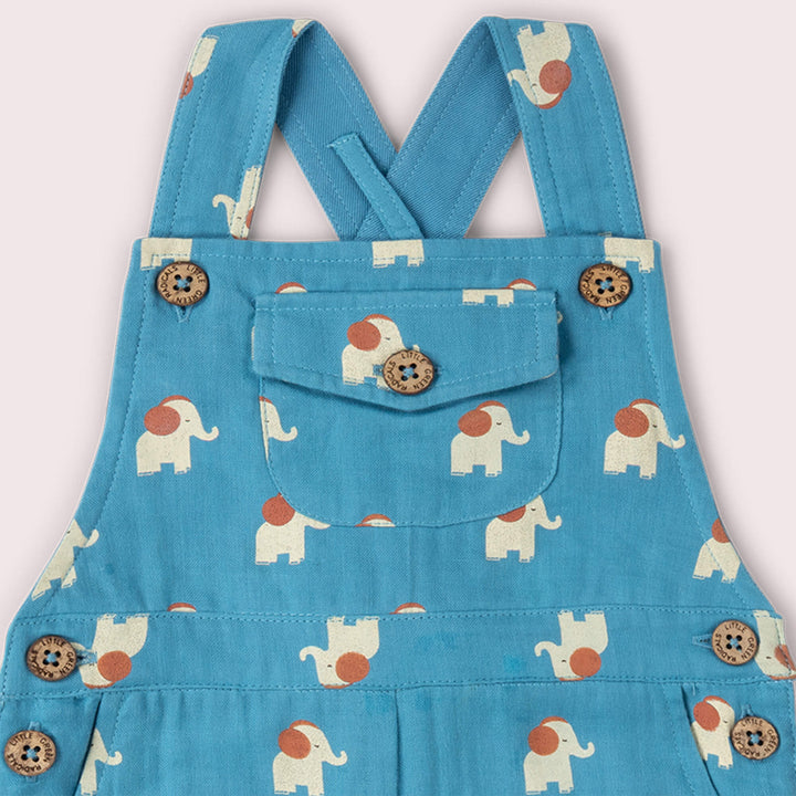 Blue Elephants Dungaree Shorts Blue / 18-24m