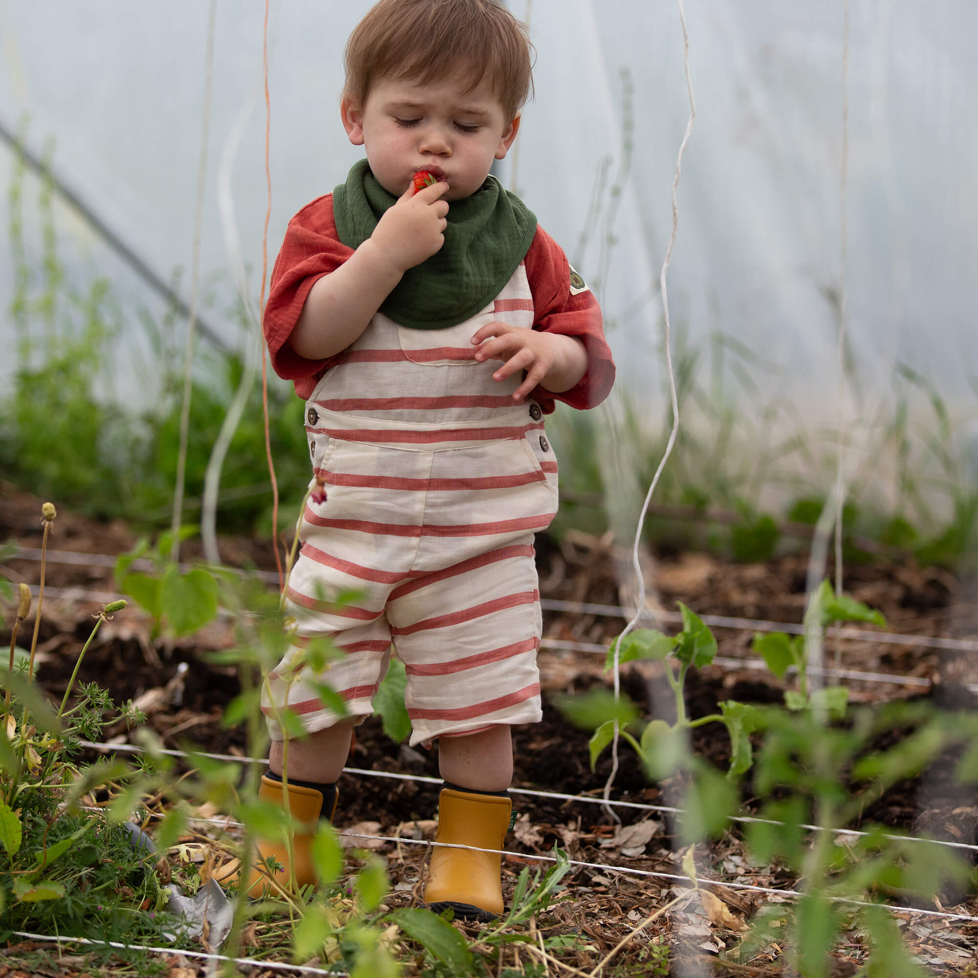 Vintage Red Stripe Dungaree Shorts Red / 18-24m