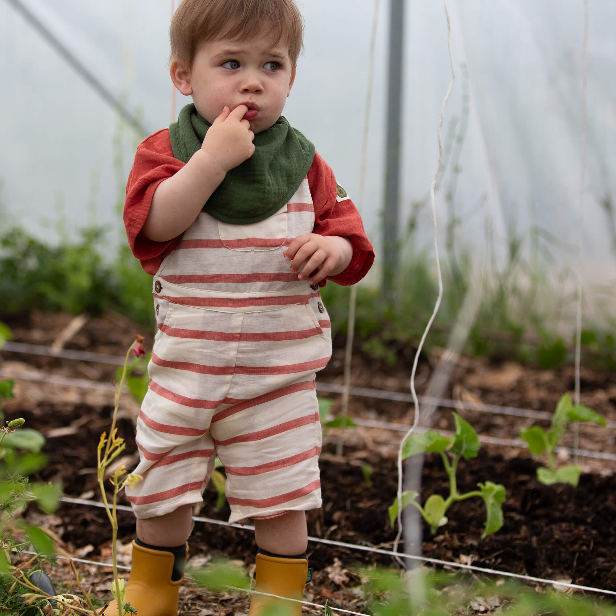Vintage Red Stripe Dungaree Shorts Red / 18-24m