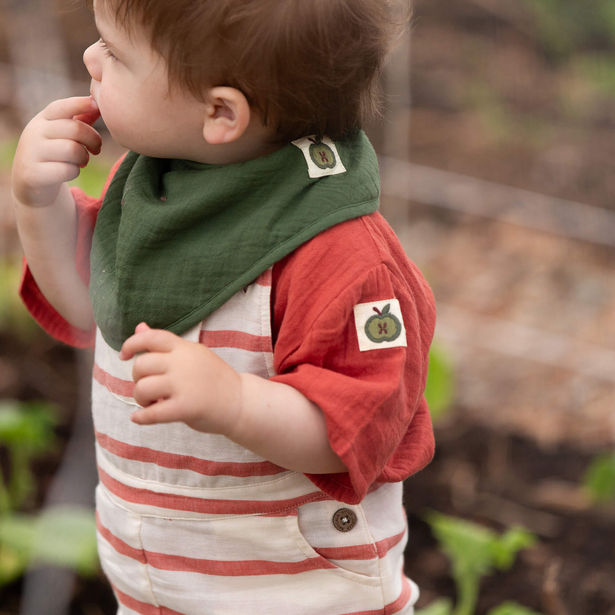 Vintage Red Stripe Dungaree Shorts Red / 18-24m
