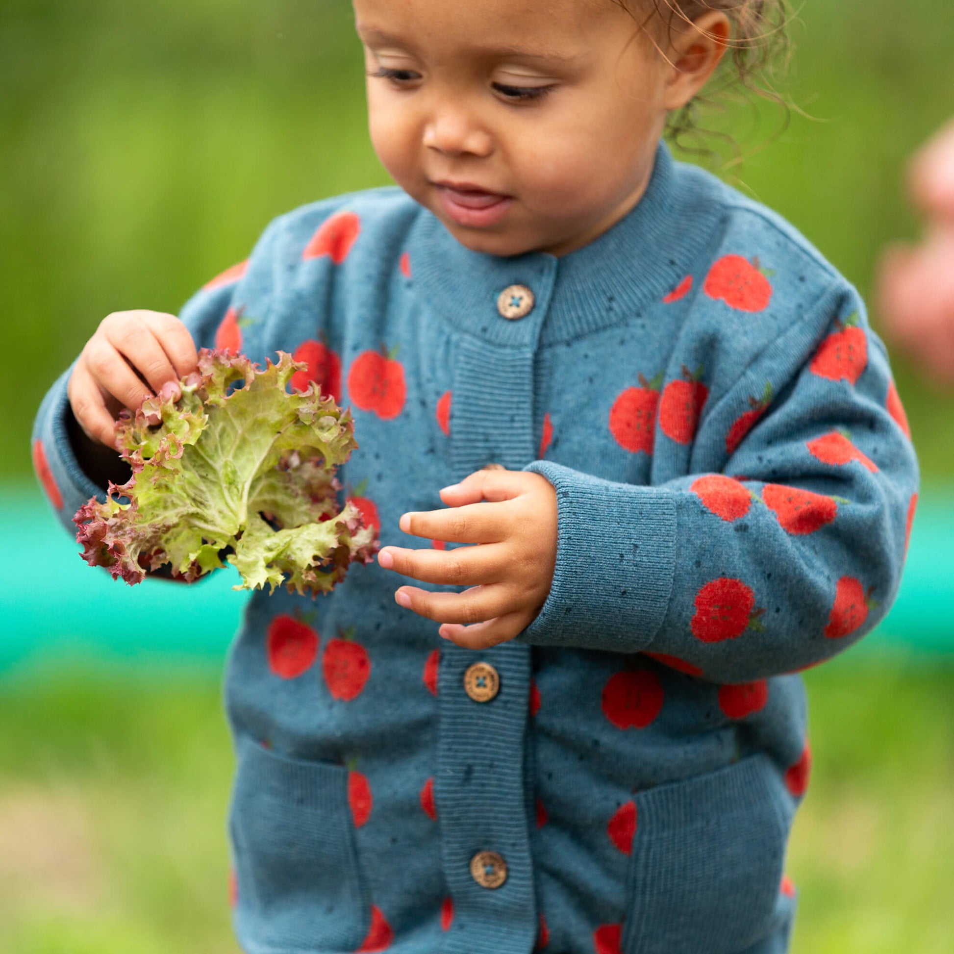 Apple A Day Knitted Cardigan Blue / 12-24m