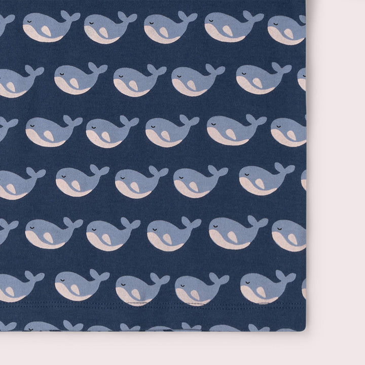 Singing Whales Short Sleeve T Shirt Blue / 18-24m