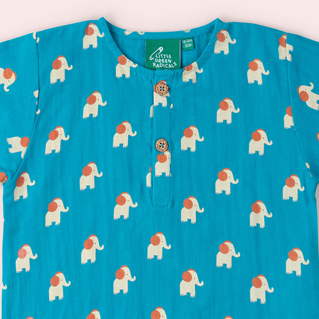 Blue Elephants Loose Fit Short Sleeve Henley Top Blue / 18-24m