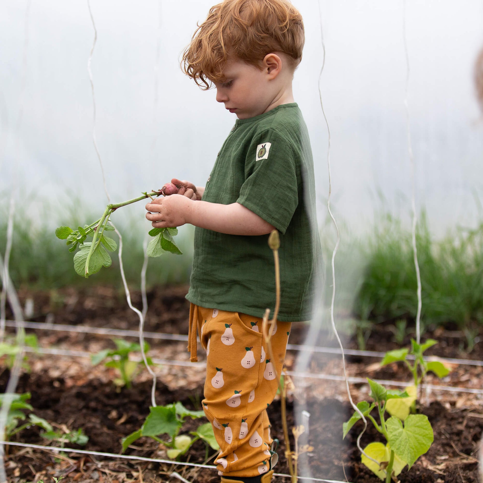 Chive Green Short Sleeved Henley Top Green / 18-24m