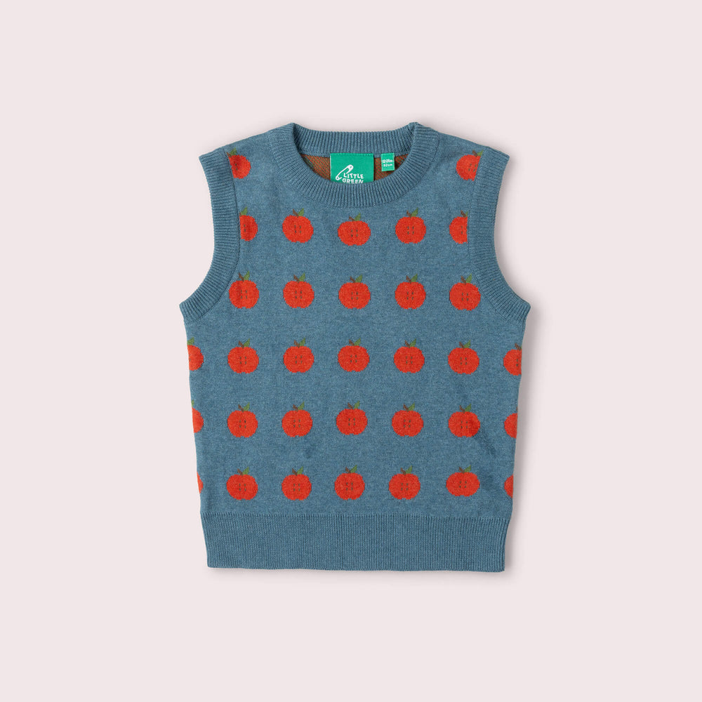 Apple A Day Knitted Pullover Blue / 12-24m