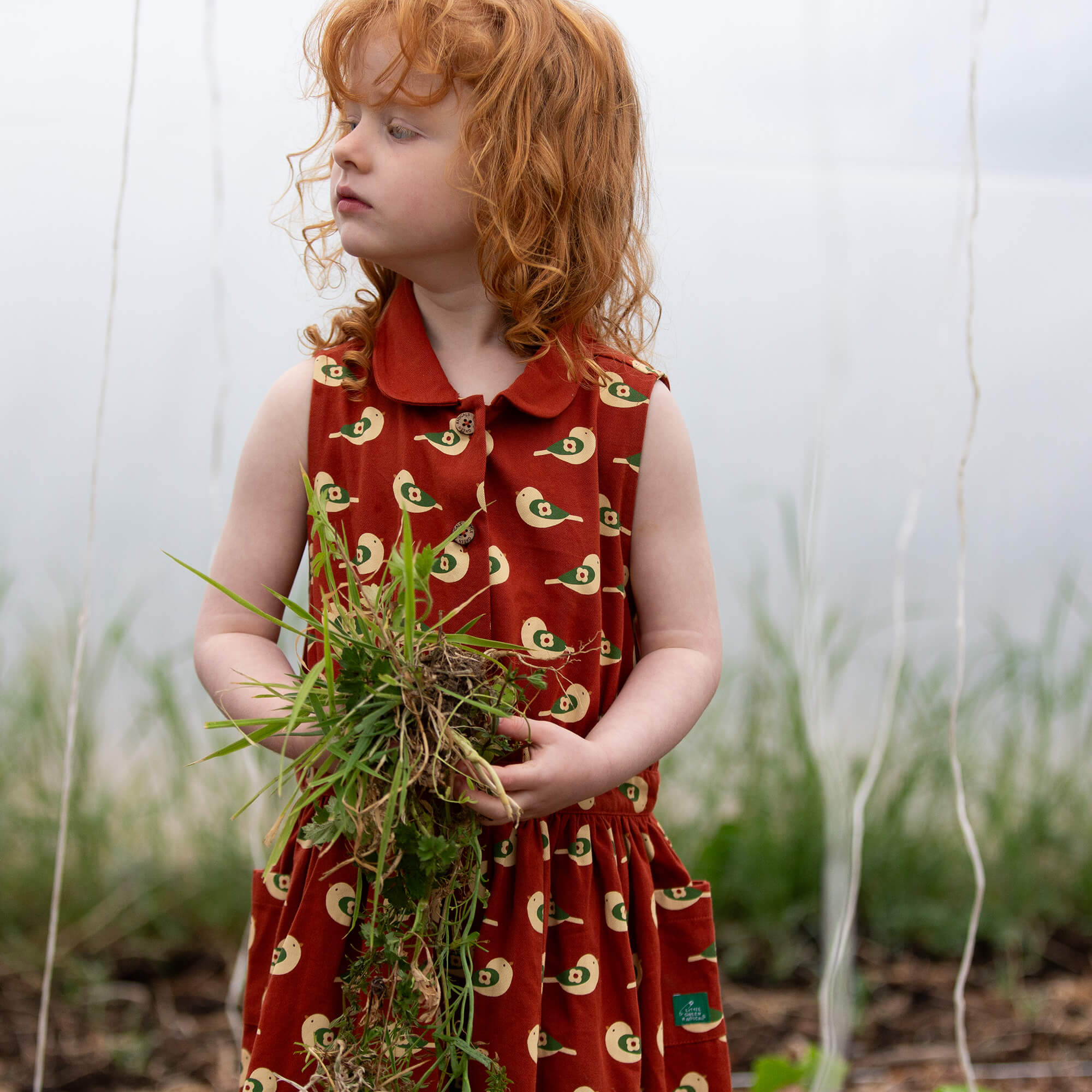 Spring Birds Pinafore Button Dress Red / 18-24m