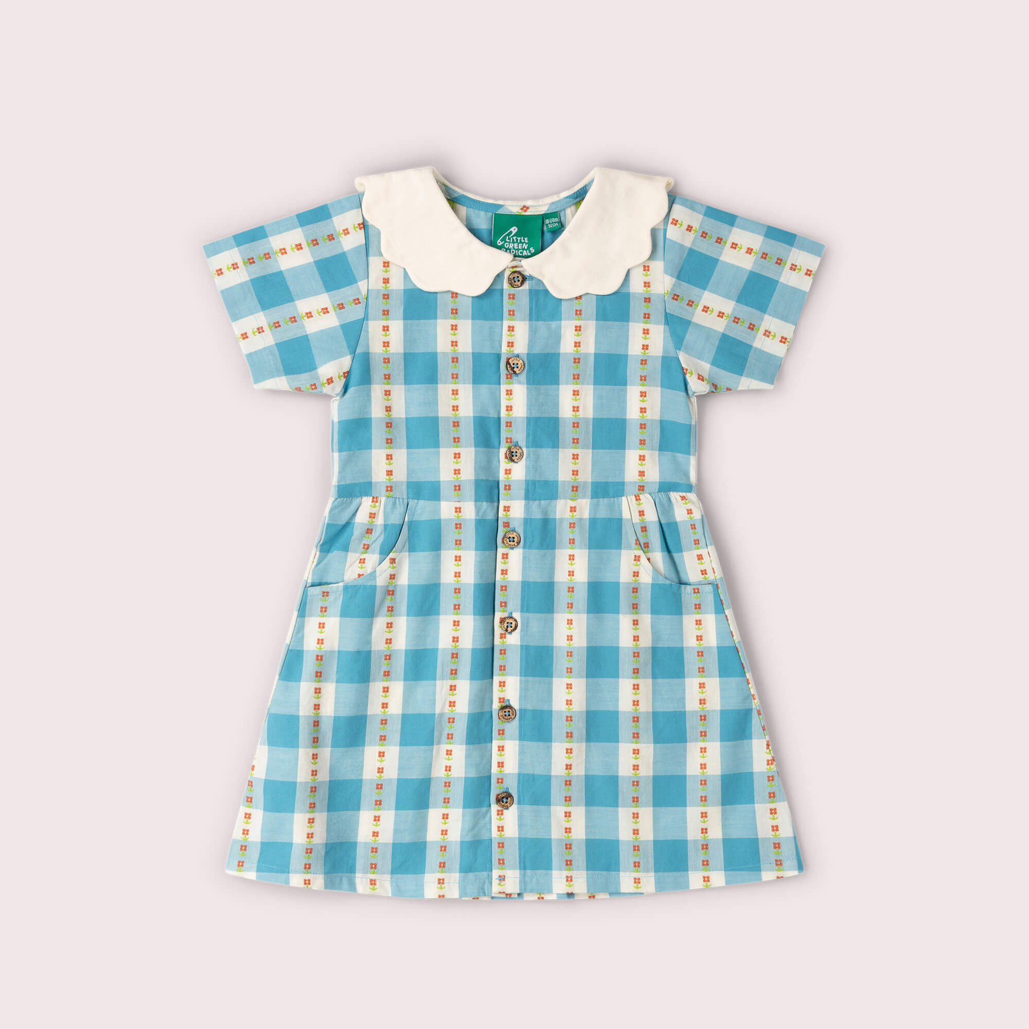 Blue Flowers Button Through Short Sleeve Dress Blue / 18-24m