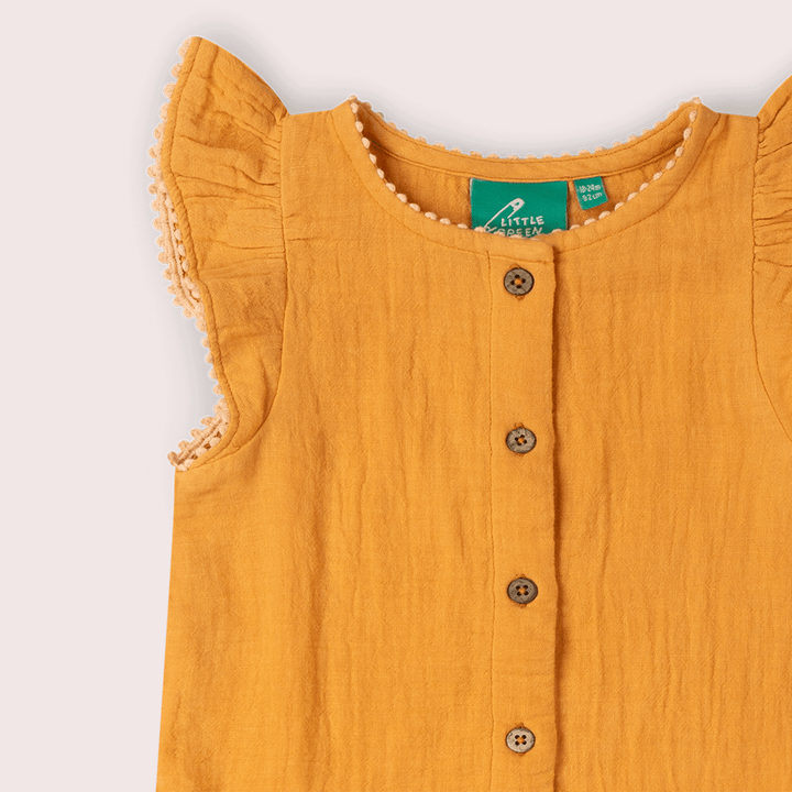 Golden Ochre Dropped Waist Dress Gold / 18-24m