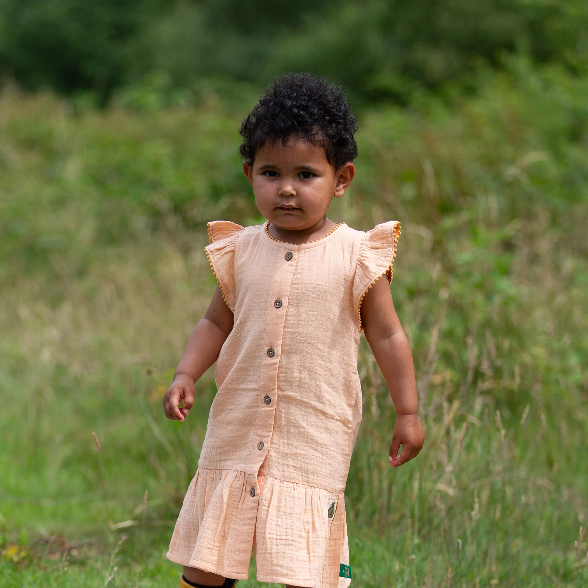 Coral Pink Dropped Waist Dress Pink / 18-24m