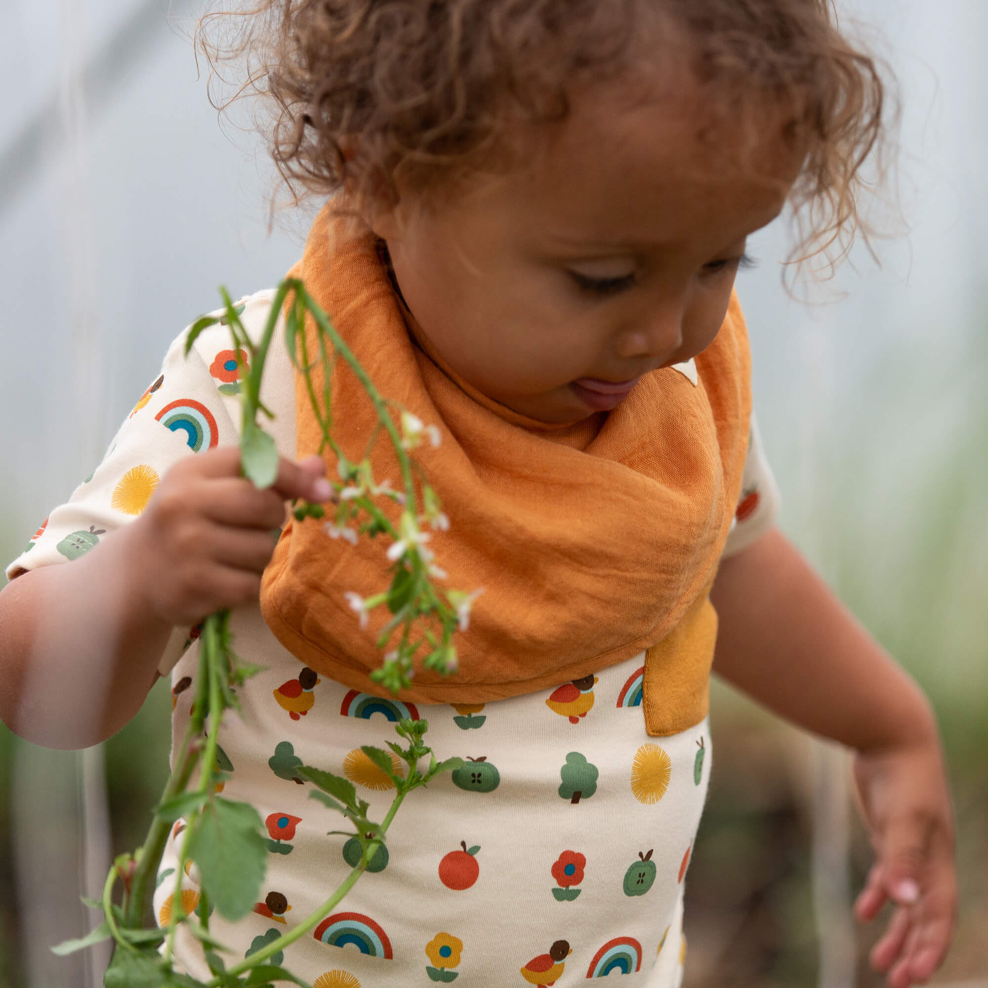 Vintage Rainbows Organic T Shirt & Jogger Playset MULTI / 18-24m