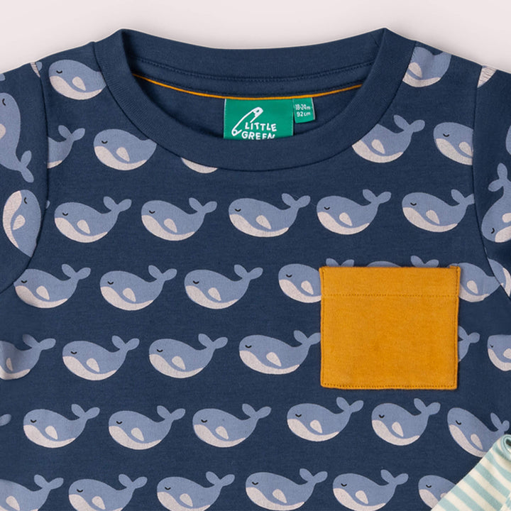 Singing Whales Organic T Shirt & Jogger Playset Blue / 18-24m