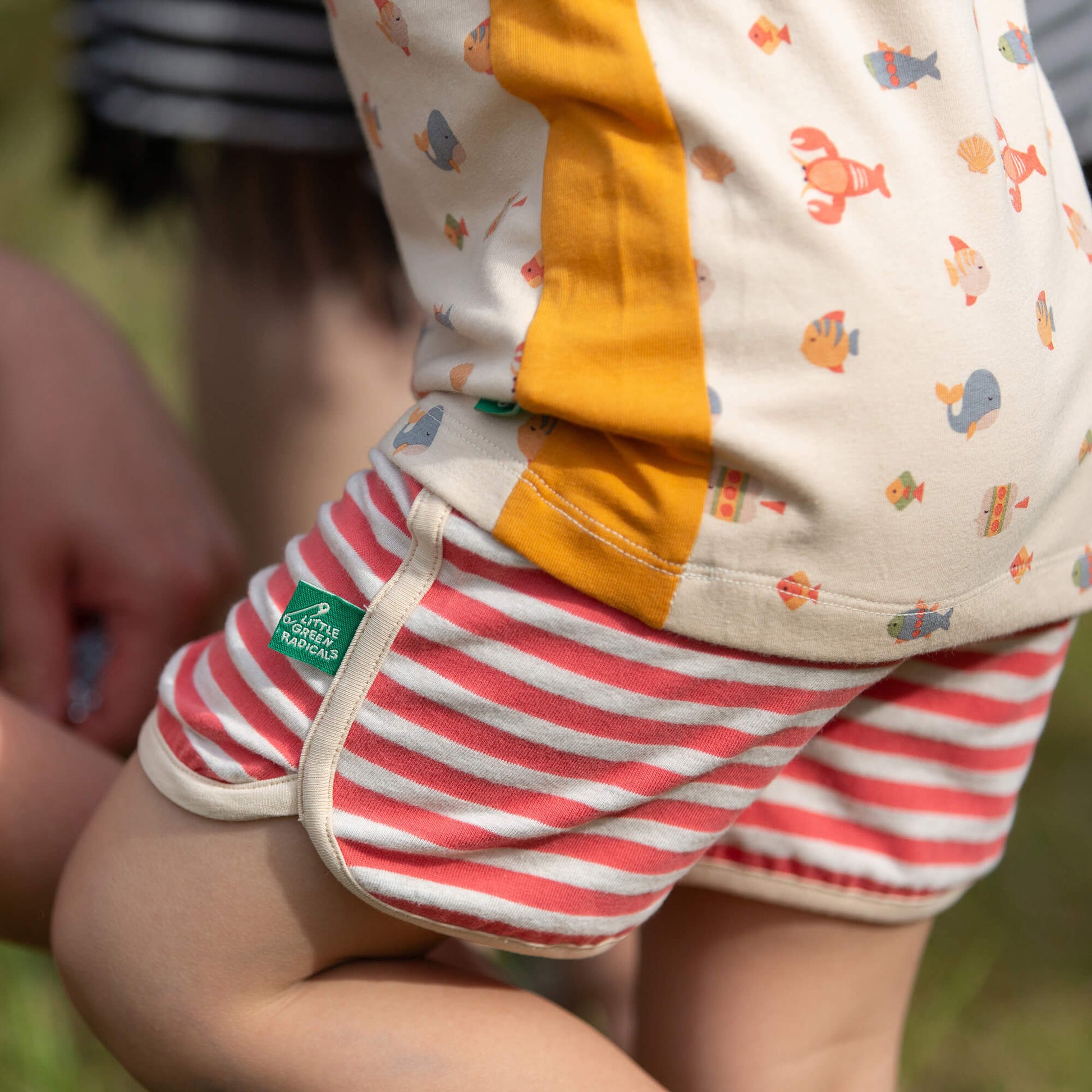 Red Striped Swim Shorts Red / 7-8y