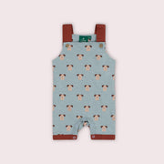 Paws Storytime Dungaree Shorts Blue / 3-4y