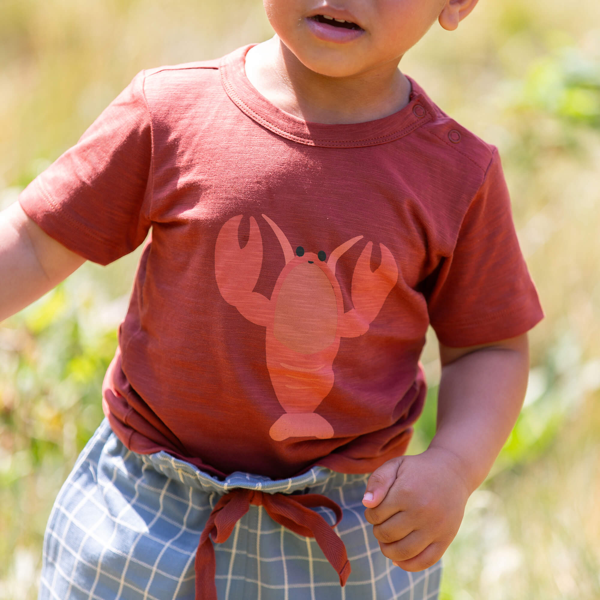 Little Lobster Short Sleeve Popper T Shirt Orange / 7-8y